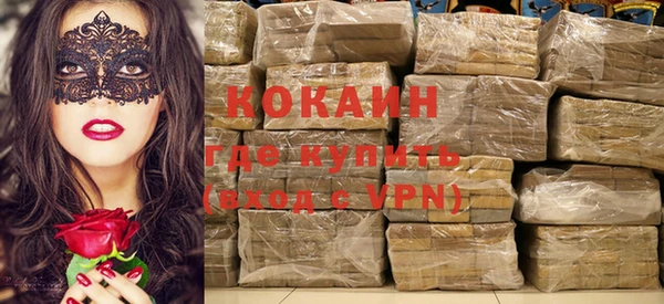 индика Карталы