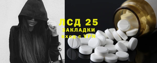 индика Карталы