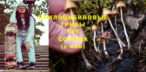 индика Карталы