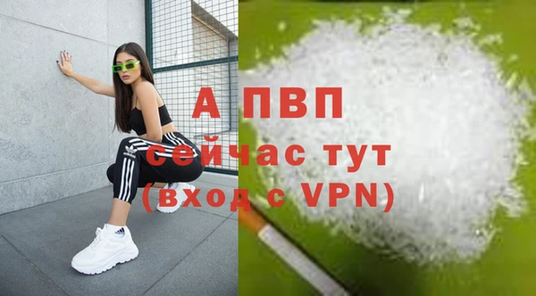 индика Карталы
