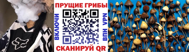 Купить где  Игарка  Псилоцибиновые грибы ЛСД 
